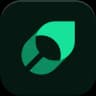 Mintlify