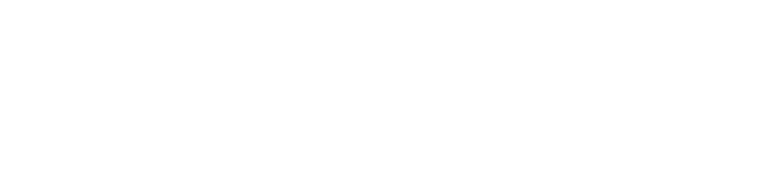 Zoom logo