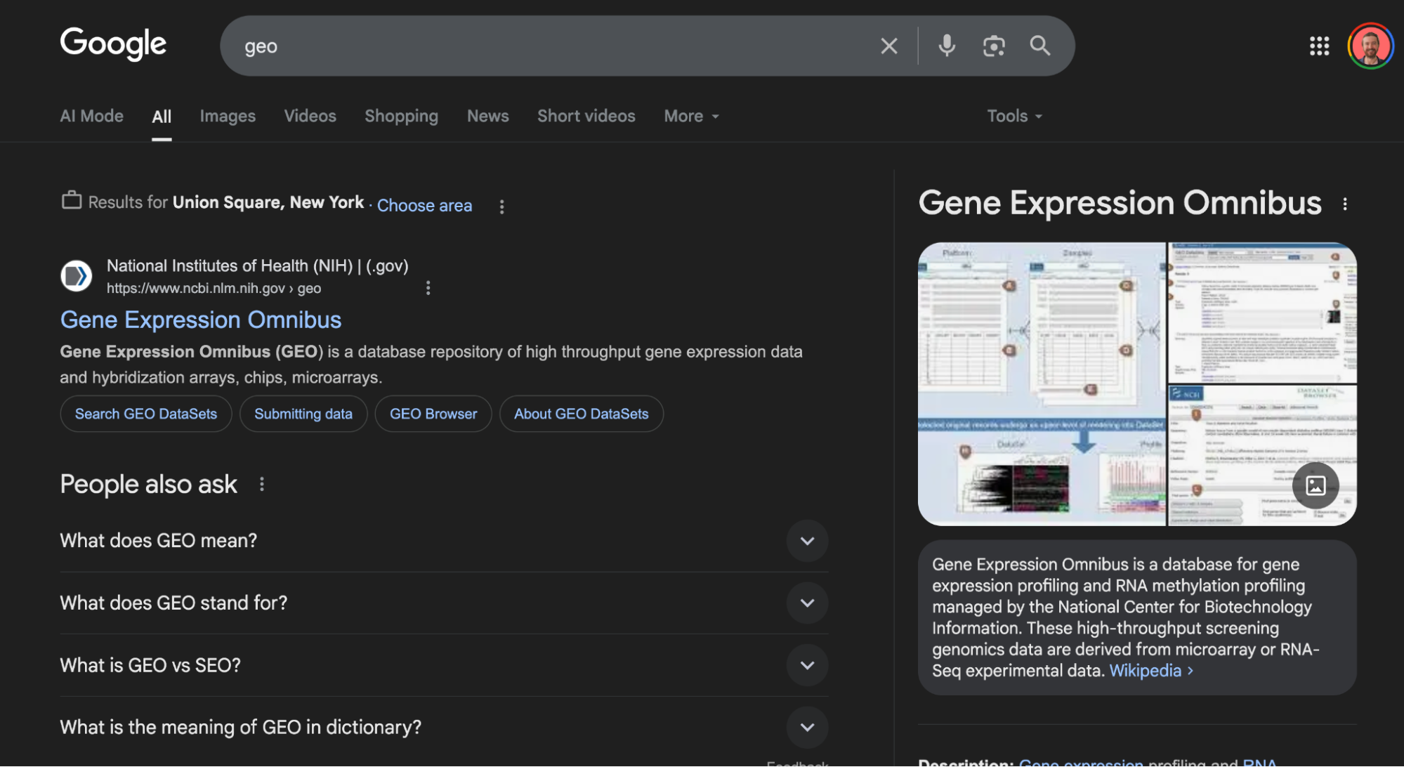 Image from google showing a search of the word geo